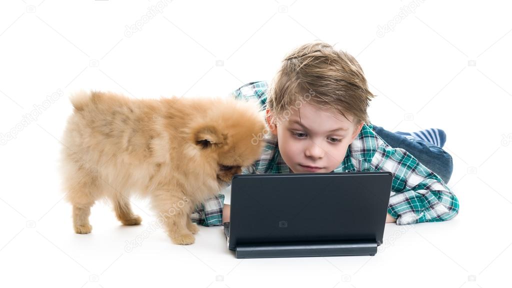 Boy with laptop and dog isolated on white background