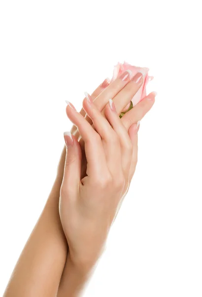 Die schönen Hände der Frauen halten eine zartrosa Rose — Stockfoto