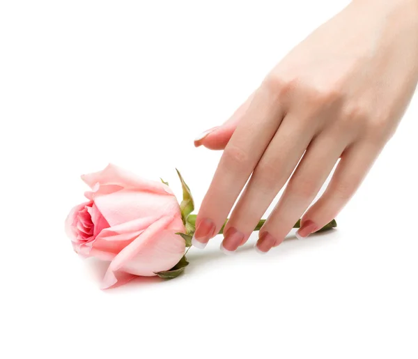 Vackra manikyr med en ros, isolerad på vit bakgrund — Stockfoto