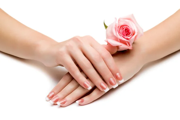 Mani gentili con una bella manicure — Foto Stock