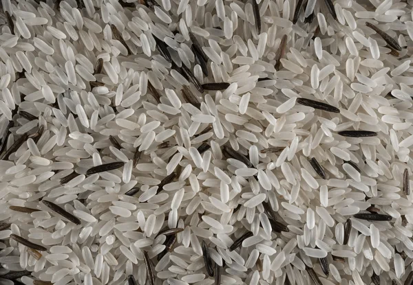 黑色和白色的水稻 — 图库照片