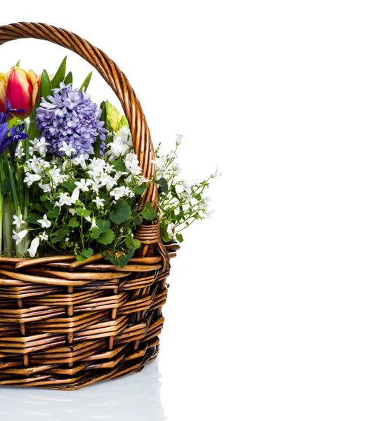 Garden flowers in basket — Stock Photo, Image