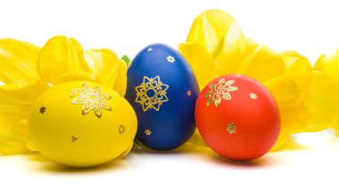 Paskalya yumurtaları ile Sarı laleler