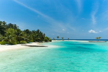 palm ile tropikal plaj