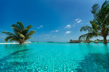 palm ile tropikal plaj