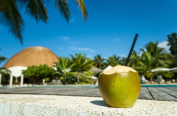 Kokoscocktail på stranden — Stockfoto