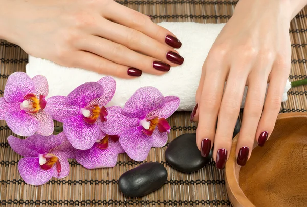 Manicura en el spa del salón —  Fotos de Stock