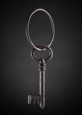 izole iskelet anahtar taşı