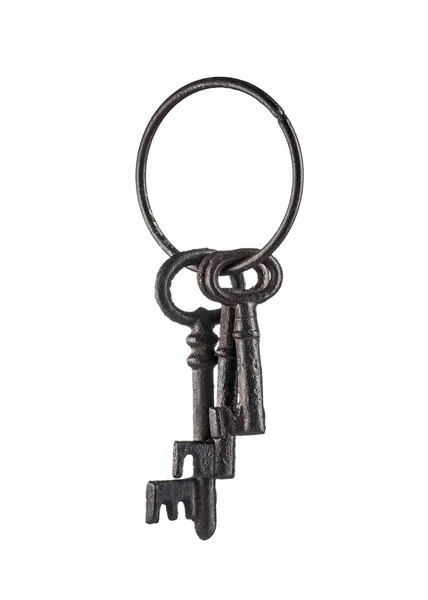 Isolerade skeleton keys — Stockfoto