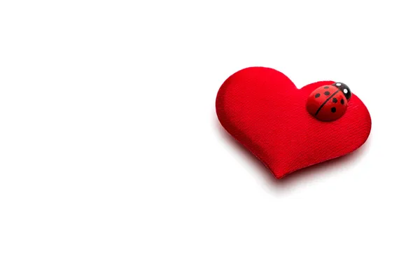 Hearts and ladybug for valentines day concept — Stock Photo, Image