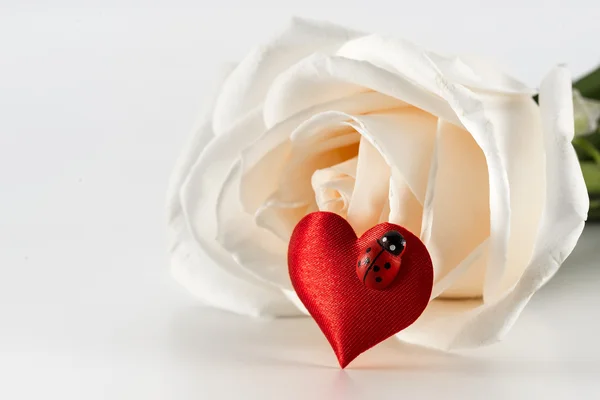 Decoração dos namorados de rosa branca e coração vermelho — Fotografia de Stock