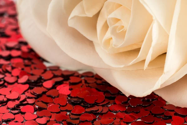 Valentines dekorace bílé růže a červené srdce — Stock fotografie