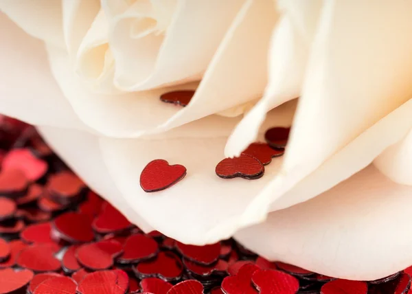 Valentines decoratie van witte roos en rood hart — Stockfoto