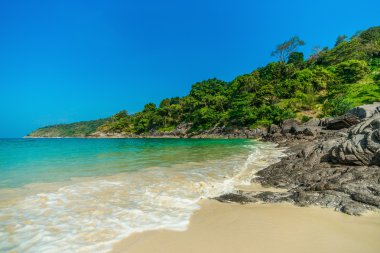 Mükemmel Tropik Ada Cennet Sahili