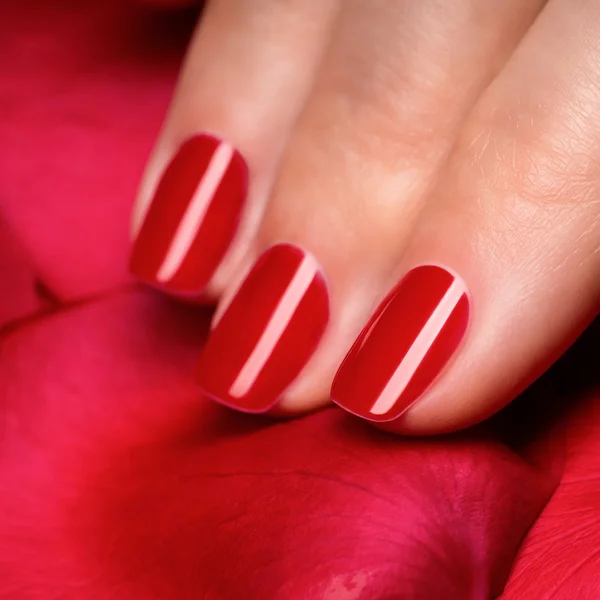 Beautiful female finger nails with red nail closeup on petals. Perfect manicure — Stock Photo, Image