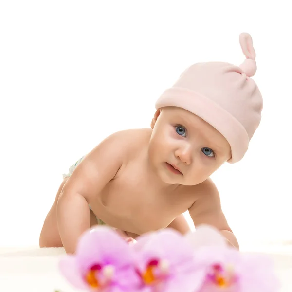 小宝宝看着镜头，在白色背景上戴一顶帽子 — 图库照片
