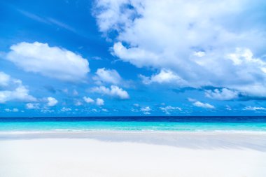 Güzel sahil ve tropikal deniz