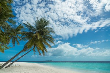 Mükemmel Tropik Ada Cennet Sahili