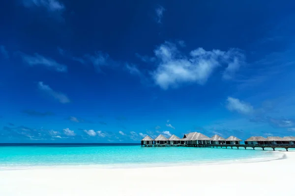 Isla tropical perfecta playa paradisíaca Maldivas —  Fotos de Stock