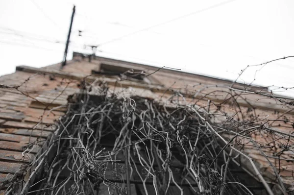 Vieux Manoir Abandonné Dans Région Vinnytska Ukraine — Photo