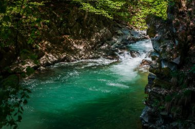 Dağ nehri taşı plajı ve yeşil ağaçlar