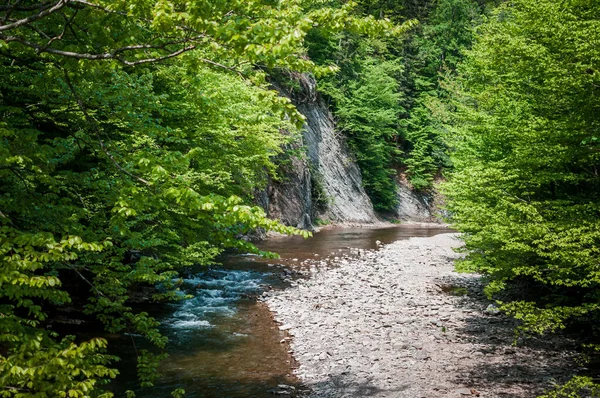 Mountain river stone beach and green trees — Stockfoto