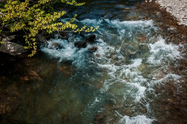 山の川の石浜と緑の木 — ストック写真