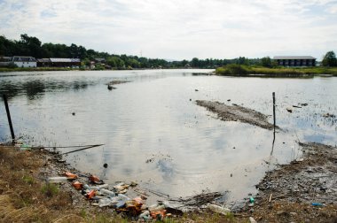 Kirli göl ve kıyılar yeşil tarlaların arka planında