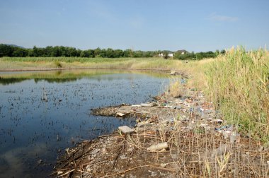 Göl ve sahil çöplerle dolu.
