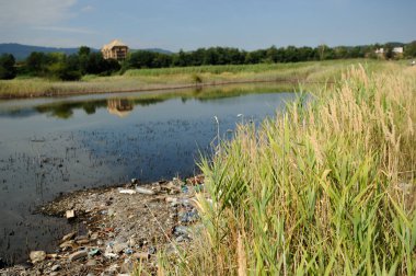 Göl ve sahil çöplerle dolu.