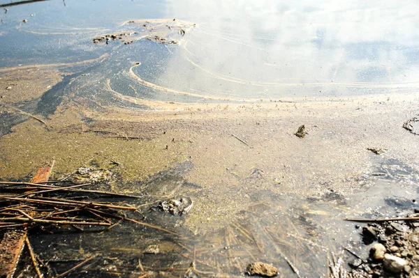 湖と海岸にはゴミが散乱している。 — ストック写真