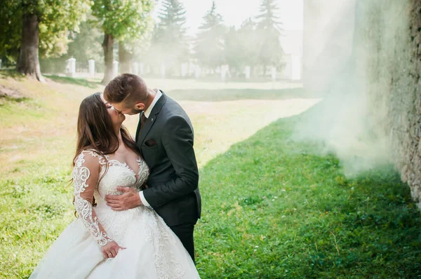 Newlyweds walk in the park hugging and kissing — Zdjęcie stockowe