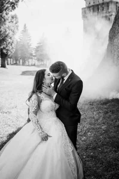 Recién casados caminan en el parque abrazándose y besándose —  Fotos de Stock