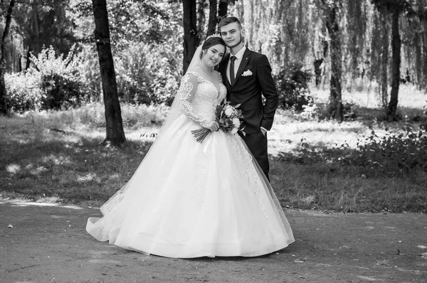 La novia y el novio están caminando en el parque en el verano, abrazándose. Árboles en el fondo —  Fotos de Stock