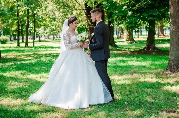 Les mariés se promènent dans le parc en été, en s'embrassant. Les jeunes mariés marchent dans le parc. Arbres en arrière-plan — Photo