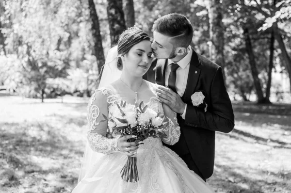 La novia y el novio están caminando en el parque en el verano, abrazándose. Los recién casados están caminando en el parque. Árboles en el fondo —  Fotos de Stock