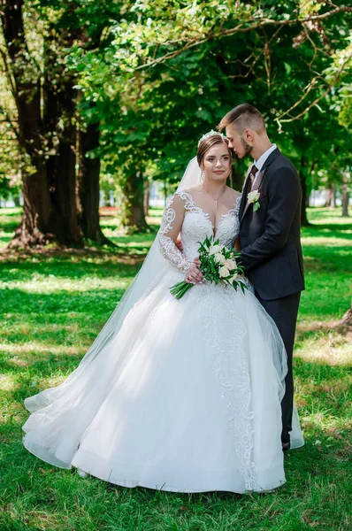 La novia y el novio están caminando en el parque en el verano, abrazándose. Los recién casados están caminando en el parque. Árboles en el fondo —  Fotos de Stock