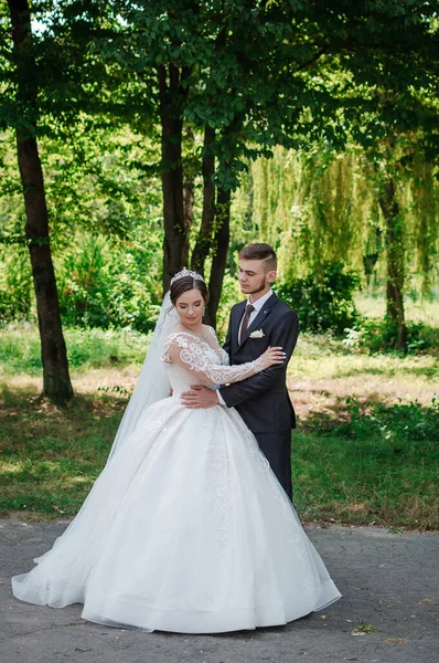 La novia y el novio están caminando en el parque en el verano, abrazándose. Los recién casados están caminando en el parque. Árboles en el fondo —  Fotos de Stock