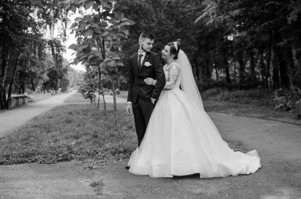 Η νύφη και ο γαμπρός περπατούν στο πάρκο το καλοκαίρι, αγκαλιασμένοι. Οι νεόνυμφοι περπατούν στο πάρκο. Δέντρα στο παρασκήνιο — Φωτογραφία Αρχείου