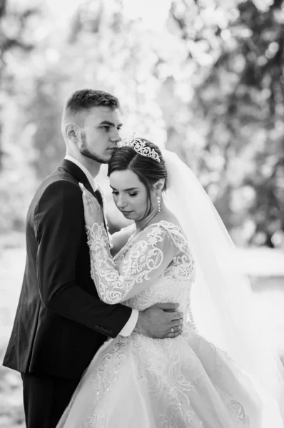 La novia y el novio están caminando en el parque en el verano, abrazándose. Los recién casados están caminando en el parque. Árboles en el fondo —  Fotos de Stock