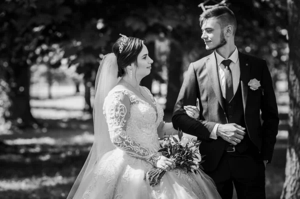 La novia y el novio están caminando en el parque en el verano, abrazándose. Los recién casados están caminando en el parque. Árboles en el fondo —  Fotos de Stock