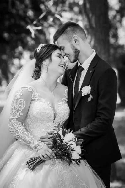 La novia y el novio están caminando en el parque en el verano, abrazándose. Los recién casados están caminando en el parque. Árboles en el fondo —  Fotos de Stock