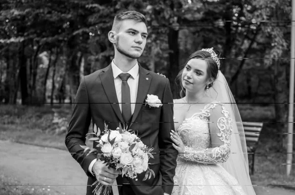 La novia y el novio están caminando en el parque en el verano, abrazándose. Los recién casados están caminando en el parque. Árboles en el fondo —  Fotos de Stock