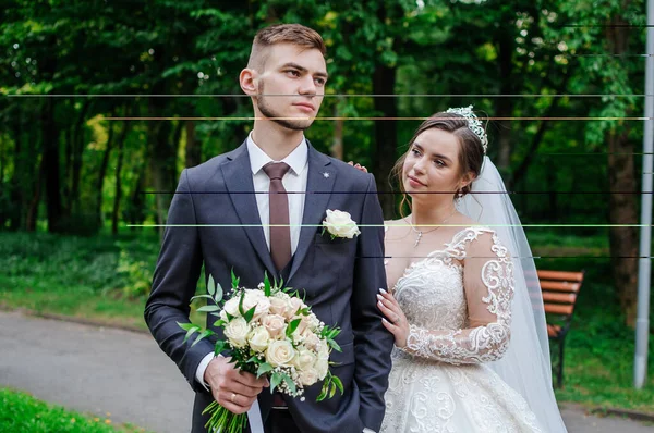 Nevěsta a ženich se v létě procházejí v parku a objímají se. Novomanželé se procházejí v parku. Stromy v pozadí — Stock fotografie