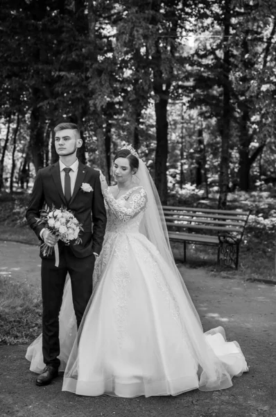 De bruid en bruidegom wandelen in het park in de zomer, knuffelend. De pasgetrouwden lopen in het park. Bomen op de achtergrond — Stockfoto