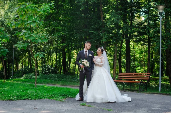 신랑 신부는 여름에 공원을 산책하면서 껴안고 있습니다. 신혼 부부가 공원을 걷고 있습니다. 배경 의나무들 — 스톡 사진