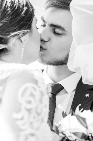 De nygifta kramas och kysses under slöjan. Brud som håller en bukett blommor — Stockfoto