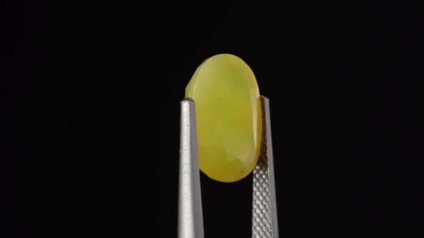 Φυσικό κίτρινο φωτιά opal πολύτιμος λίθος στο tweezer στο παρασκήνιο — Αρχείο Βίντεο