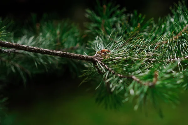 Paio Fedi Oro Sfondo Verde Anelli Sullo Sfondo Foglie Legno — Foto Stock