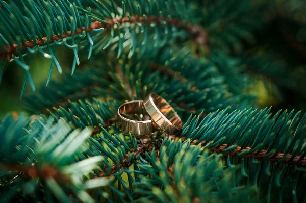 Egy Pár Arany Jegygyűrű Zöld Háttérrel Gyűrűk Háttér Levelek Esküvő — Stock Fotó